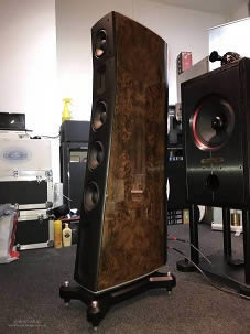 Raidho Acoustics D3.1 (walnut burl finish)