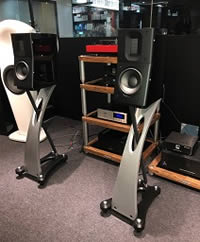 Raidho D1.1 with matching stands Raidho D1.1 with matching stands
